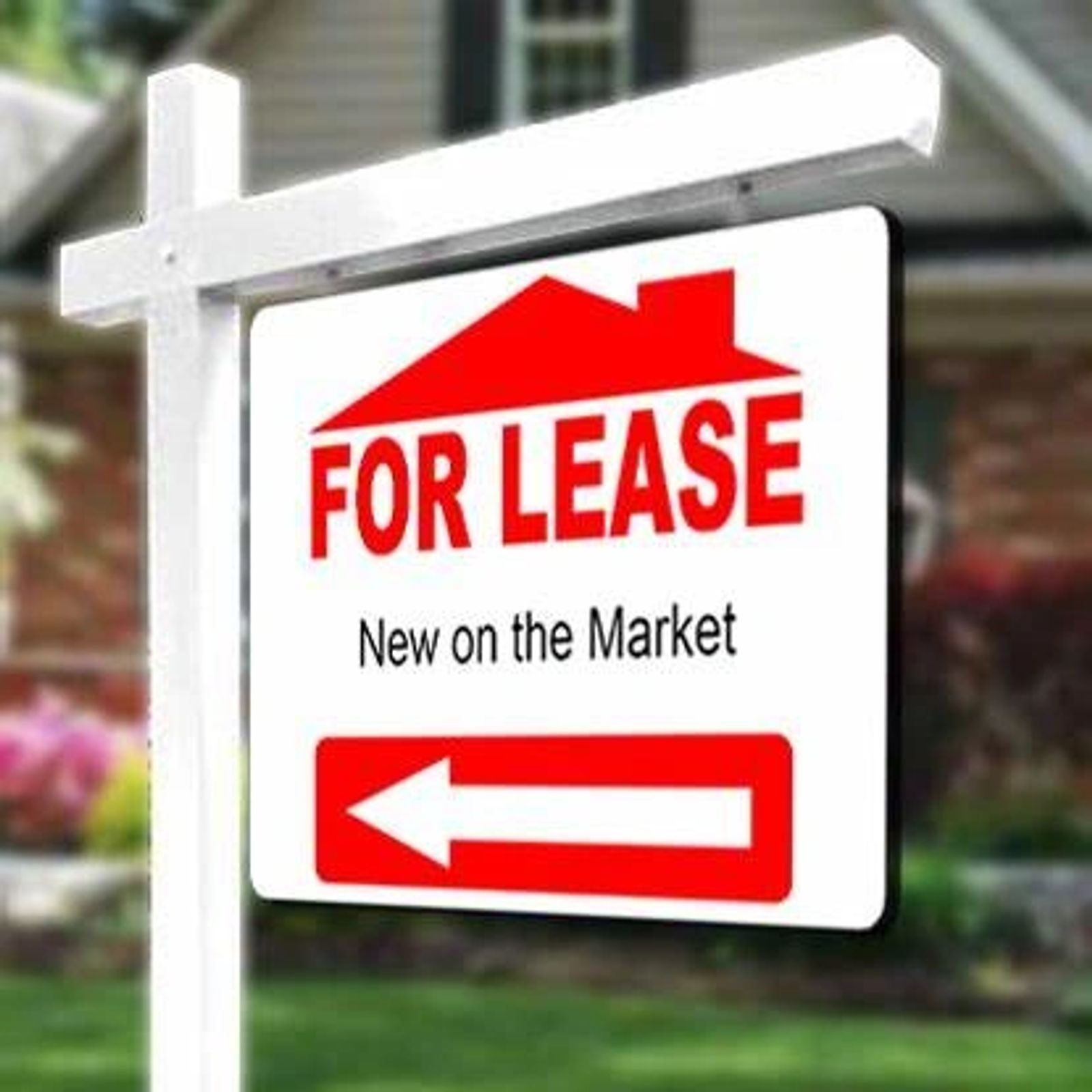 A red and white For Lease, New on the Market yard sign in front of a house